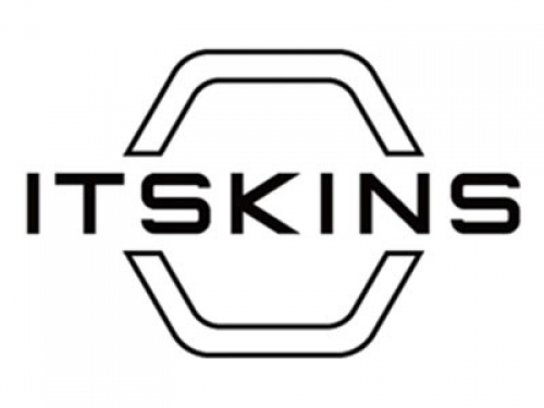 Itskins