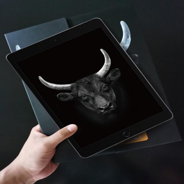 Cường lực Mipow Kingbull Premium HD cho iPad-BJ204D-4