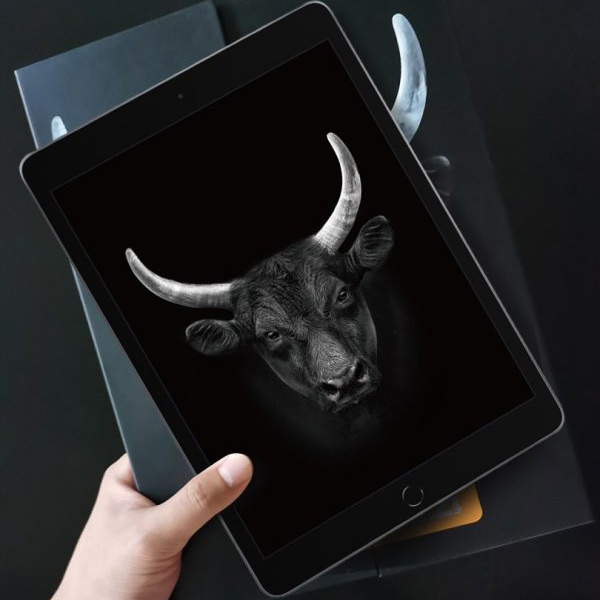 Cường lực Mipow iPad (A16) Gen 10 2022-BJ204ECR-3