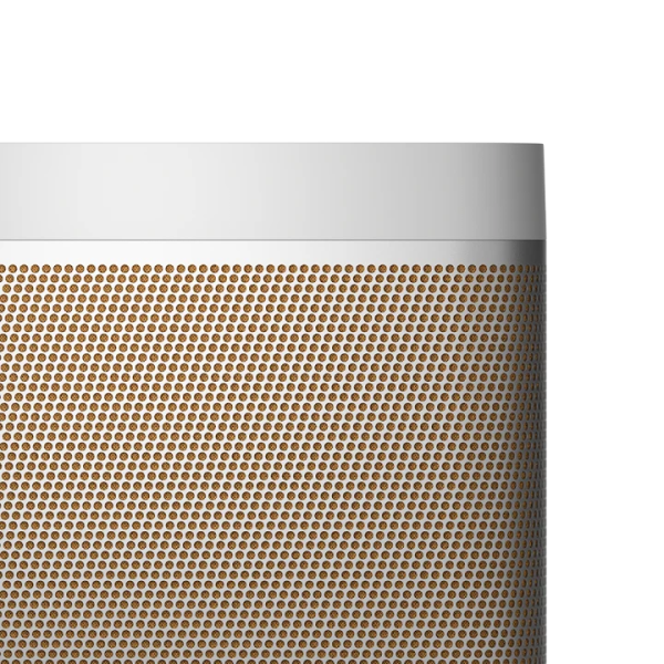Loa Bluetooth B&O BeoLit 20-1253300-9