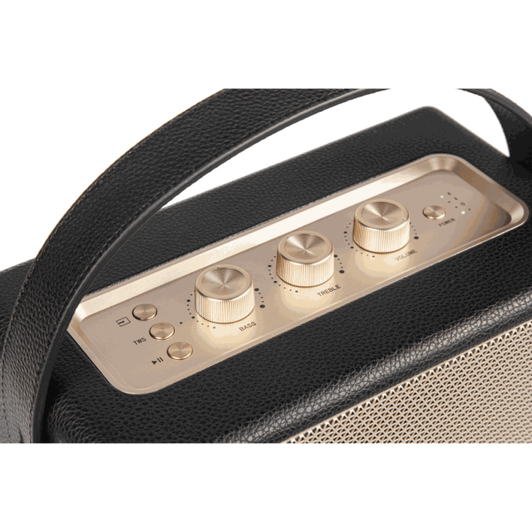 Loa Bluetooth Alpha Works W88-AWW88BLK-6