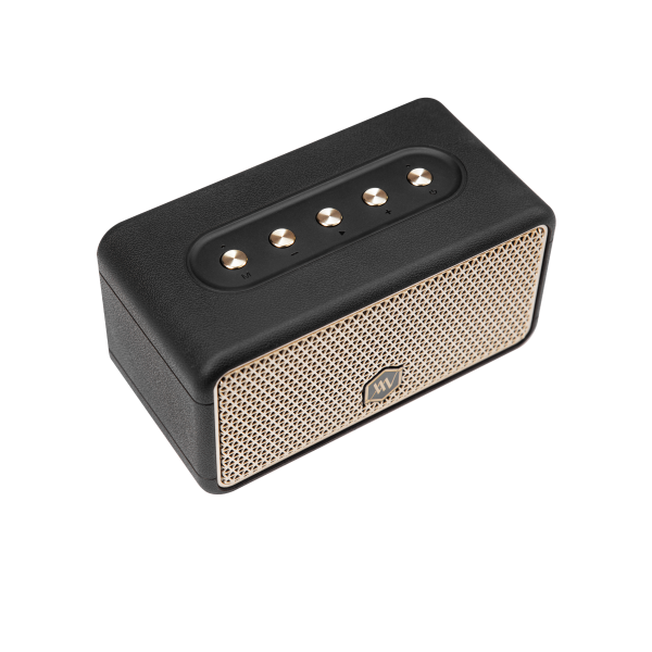 Loa Bluetooth Alpha Works W38-AWW38BLK-2
