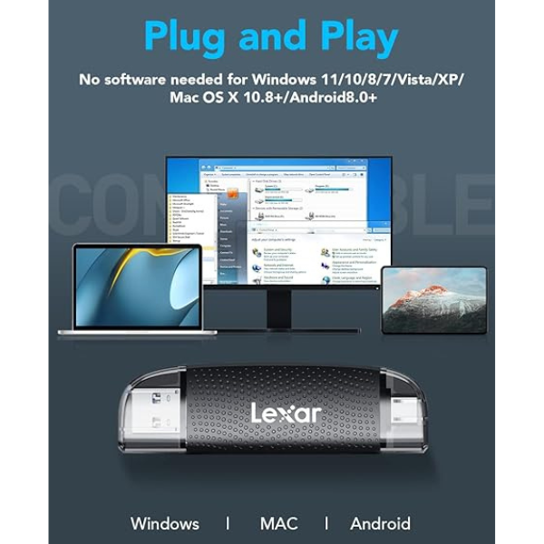 Đầu đọc thẻ nhớ Lexar Dual Slot MicroSD SD Card Reader-LRW310U-BNBNG-10