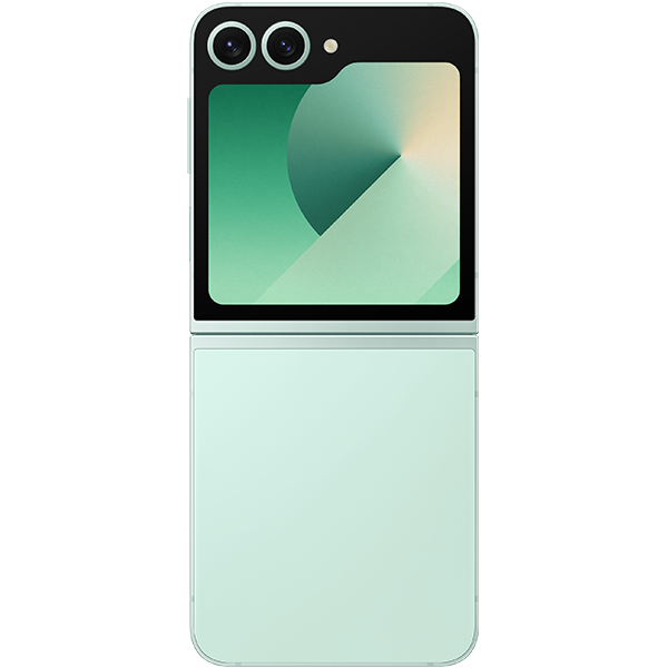 Samsung Galaxy Z Flip6 12GB 256GB-SM-F741BLBAXXV-24
