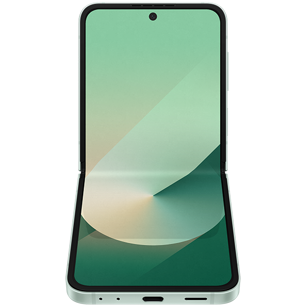 Samsung Galaxy Z Flip6 12GB 256GB-SM-F741BLBAXXV-26