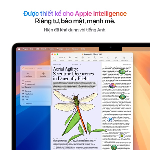 MacBook Air M4 13 inch 10GPU 10CPU 16GB 512GB - Chính Hãng VN-MW103SA A-6