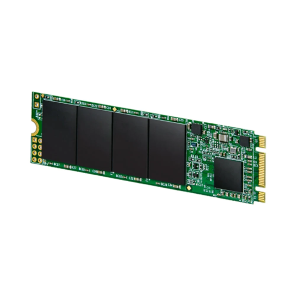 Ổ cứng SSD gắn trong Transcend MTS820S 240GB M.2 2280 SATA III 3D-NAND upto 560MB s (TS240GMTS820S)-SSDINT07072409-2
