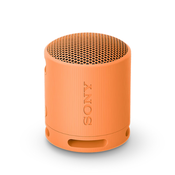 Loa Bluetooth Sony SRS-XB100-SRS-XB100 BCE-8
