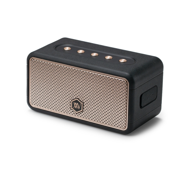 Loa Bluetooth Alpha Works AW-W39-AW-W39ORGR-5
