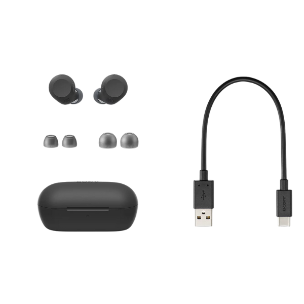 Tai nghe Bluetooth True Wireless Sony WF-C710N-WF-C710N LZE-9