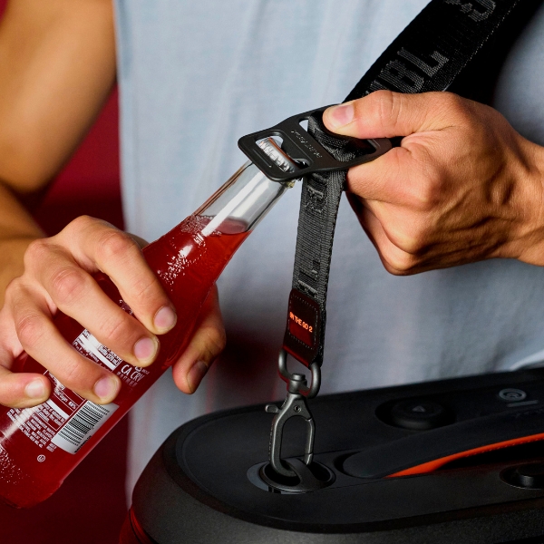 Loa JBL PartyBox On The Go 2-JBLPARTYBOXOTG2BAS-22