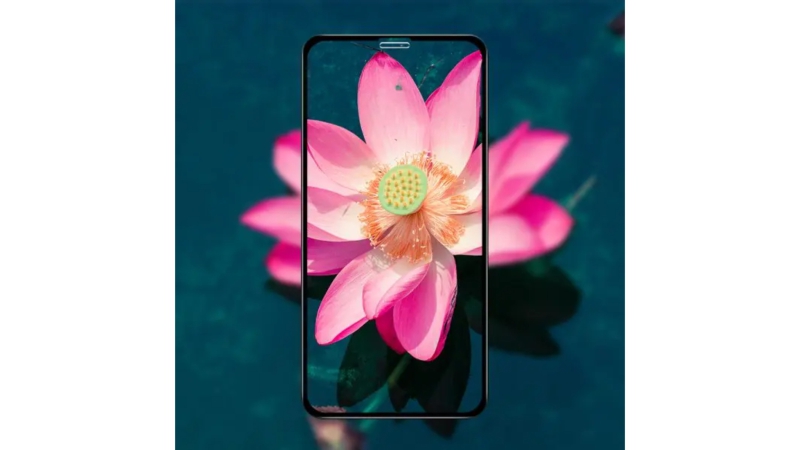 Cường lực iPhone 11 Pro XS Mipow Kingbull Premium 3D-BJ111-P-3