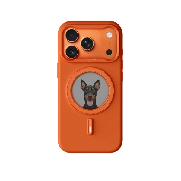 Cam