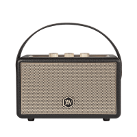 Loa Bluetooth Alpha Works W88