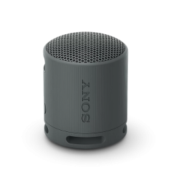 Loa Bluetooth Sony SRS-XB100