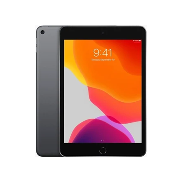 iPad mini 5 4G 256GB